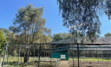 Rancho en venta en Tepeji del Río Hgo.Señorial Privilegiado,2 pozos,caballerizas,bella ecología,cancha frontón,invernaderos,instalaciones p/ animales.