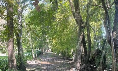 Rancho en venta en Tepeji del Río Hgo.Señorial Privilegiado,2 pozos,caballerizas,bella ecología,cancha frontón,invernaderos,instalaciones p/ animales.