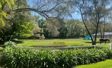 Rancho en venta en Tepeji del Río Hgo.Señorial Privilegiado,2 pozos,caballerizas,bella ecología,cancha frontón,invernaderos,instalaciones p/ animales.