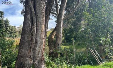 Terreno de venta en Otavalo sector Araque, 664 m2