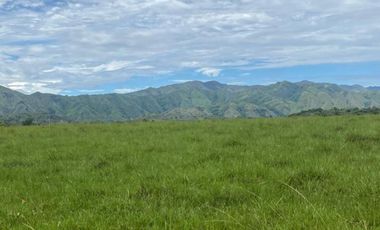 Finca de 1,500 Ha en Venta en Tolima  (Chaparral)