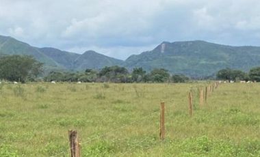 Finca de 1,500 Ha en Venta en Tolima  (Chaparral)