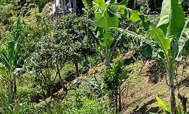 Vendo casa campestre en Valparaíso Antioquia