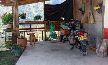 Vendo casa campestre en Valparaíso Antioquia