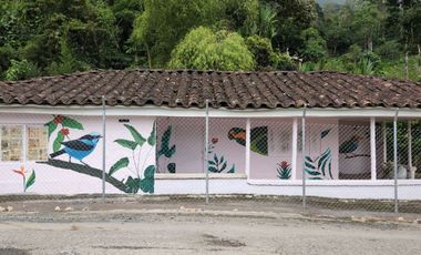 Vendo casa campestre en Támesis Antioquia