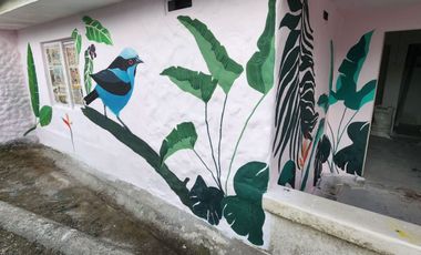 Vendo casa campestre en Támesis Antioquia