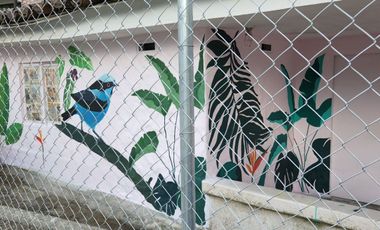 Vendo casa campestre en Támesis Antioquia