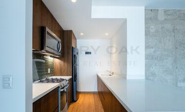 APARTMENT FOR LEASE IN ROMA NORTE