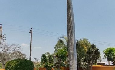 RENTA CASA AMUEBLADA EN CONDOMINIO CON VIGILANCIA 24/7 BUENAVISTA, CUERNAVACA $35,000.00