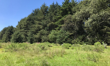 Rancho de Oportunidad con Pozo 31 Hectáreas en Venta. ¡¡¡ Bella Ecología !!! en Villa del Carbón Edo. Méx. Con los servicios necesarios, a solo 7 Min.