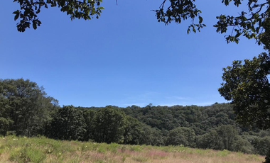 Rancho de Oportunidad con Pozo 31 Hectáreas en Venta. ¡¡¡ Bella Ecología !!! en Villa del Carbón Edo. Méx. Con los servicios necesarios, a solo 7 Min.