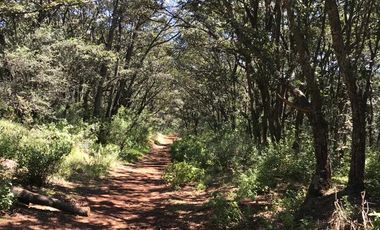 Rancho de Oportunidad con Pozo, 31 Hectáreas en Venta. ¡¡¡ Bella Ecología !!! en Villa del Carbón Edo. Méx. Con los servicios necesarios, a solo 7 Min