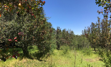 Rancho de Oportunidad con Pozo, 31 Hectáreas en Venta. ¡¡¡ Bella Ecología !!! en Villa del Carbón Edo. Méx. Con los servicios necesarios, a solo 7 Min
