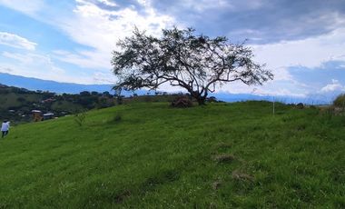 LT12 SE VENDE LOTE EXCELENTE UBICACIÓN MIRADOR DE LA COLINA SONSO VALLE DEL CAUCA