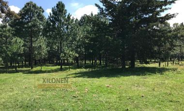 Rancho Con Bello Bosque, A Solo 7 Minutos de la Autopista México A Querétaro Km. 97.5.  En San Francisco Soyaniquilpan Edo. Méx.