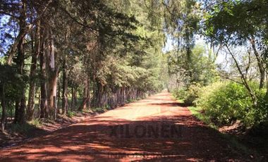 Rancho Con Bello Bosque, A Solo 7 Minutos de la Autopista México A Querétaro Km. 97.5.  En San Francisco Soyaniquilpan Edo. Méx.