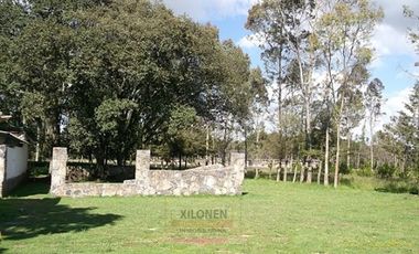 Rancho en venta 40 Hect. en Jilotepec Edo.Méx.privilegiado,Bella Ecología,casa colonial,caballerizas,3 presas de agua,delimitado, todos los servicios.