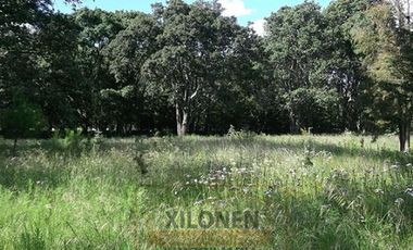 Rancho en venta 40 Hect. en Jilotepec Edo.Méx.privilegiado,Bella Ecología,casa colonial,caballerizas,3 presas de agua,delimitado, todos los servicios.