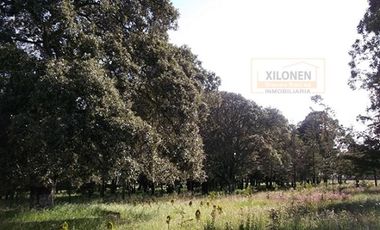 Rancho en venta 40 Hect. en Jilotepec Edo.Méx.privilegiado,Bella Ecología,casa colonial,caballerizas,3 presas de agua,delimitado, todos los servicios.