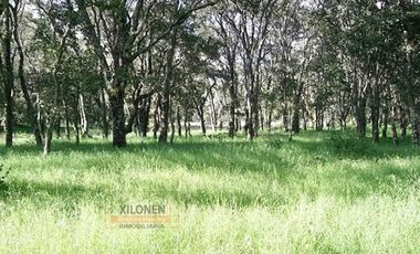 Rancho en venta 40 Hect. en Jilotepec Edo.Méx.privilegiado,Bella Ecología,casa colonial,caballerizas,3 presas de agua,delimitado, todos los servicios.
