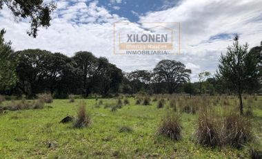 Rancho en venta 40 Hect. en Jilotepec Edo.Méx.privilegiado,Bella Ecología,casa colonial,caballerizas,3 presas de agua,delimitado, todos los servicios.