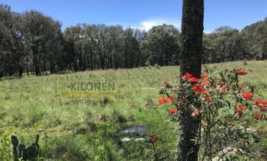 Rancho en venta 40 Hect. en Jilotepec Edo.Méx.privilegiado,Bella Ecología,casa colonial,caballerizas,3 presas de agua,delimitado, todos los servicios.