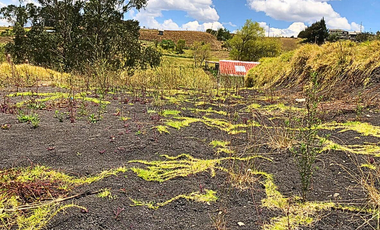 VENTA  DE TERRENO CON 230M  - Urb Santa Sofia | Vía Monay Baguanchi  |  Cuenca