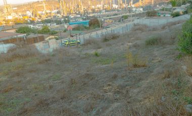 Se arrienda terreno en Concón