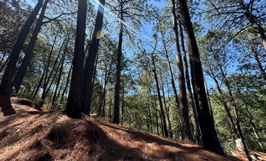 Terreno en Venta, Fracc. Las Azaleas en Mazamitla, Jalisco