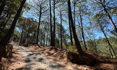 Terreno en Venta, Fracc. Las Azaleas en Mazamitla, Jalisco