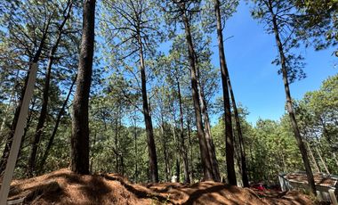 Terreno en Venta, Fracc. Las Azaleas en Mazamitla, Jalisco