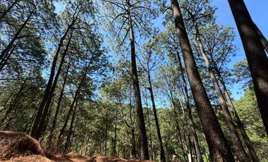 Terreno en Venta, Fracc. Las Azaleas en Mazamitla, Jalisco