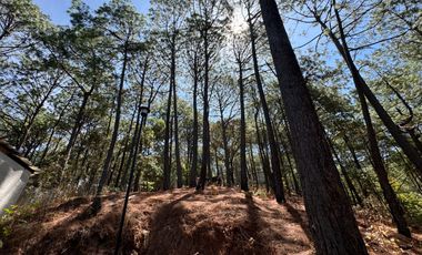 Terreno en Venta, Fracc. Las Azaleas en Mazamitla, Jalisco