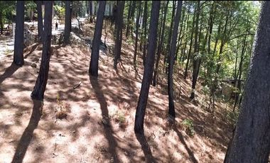 Terreno en Venta, Fracc. Las Azaleas en Mazamitla, Jalisco