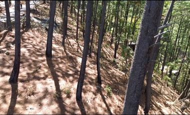 Terreno en Venta, Fracc. Las Azaleas en Mazamitla, Jalisco