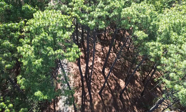 Terreno en Venta, Fracc. Las Azaleas en Mazamitla, Jalisco