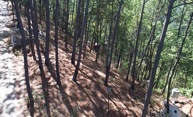 Terreno en Venta, Fracc. Las Azaleas en Mazamitla, Jalisco