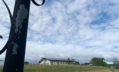 FOR SALE 2 Adjacent Residential Lots located at Ayala Southvale Primera, Bacoor, Cavite