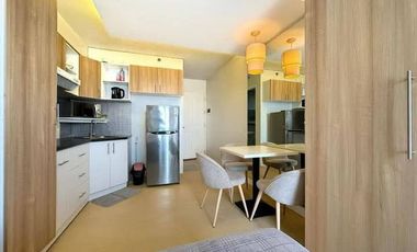 Fully Furnished Studio with Amenity View – Avida Riala Tower 2