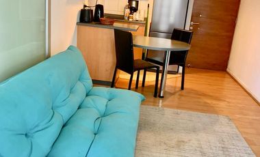 Arriendo acogedor Departamento 1D 1B 1E