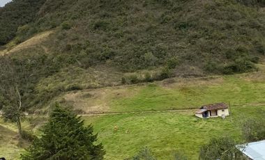 SEIS HECTAREAS DE VENTA EN SECTOR GULCAY, CUMBE