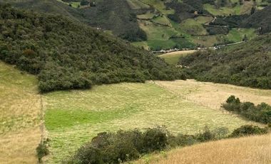 SEIS HECTAREAS DE VENTA EN SECTOR GULCAY, CUMBE