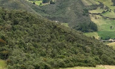 SEIS HECTAREAS DE VENTA EN SECTOR GULCAY, CUMBE