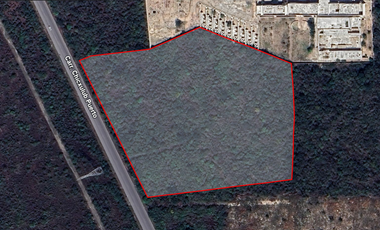 TERRENO EN VENTA 3.5 HECTAREAS CHOLUL