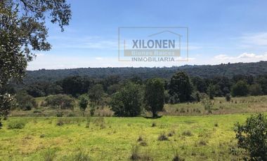 Rancho de Oportunidad con Pozo y Bella Ecología en Villa Del Carbón Edo. Méx., con los servicios necesarios, a solo 7 Min. Del Jardín Central