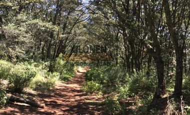 Rancho de Oportunidad con Pozo y Bella Ecología en Villa Del Carbón Edo. Méx., con los servicios necesarios, a solo 7 Min. Del Jardín Central