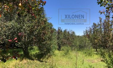 Rancho de Oportunidad con Pozo y Bella Ecología en Villa Del Carbón Edo. Méx., con los servicios necesarios, a solo 7 Min. Del Jardín Central
