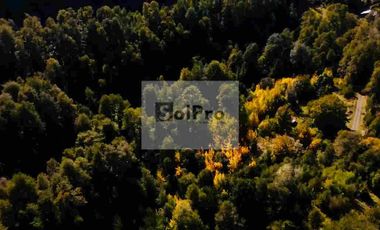 predio 65 hā en Vilcún