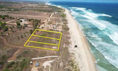 Se venden tres terrenos con frente de playa, juntos o individual, en playa santa elena, Puerto Escondido Oax.