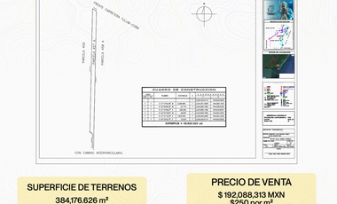 38 HECTÁREAS PARA DESARROLLO MIXTO CERCA DE TULUM